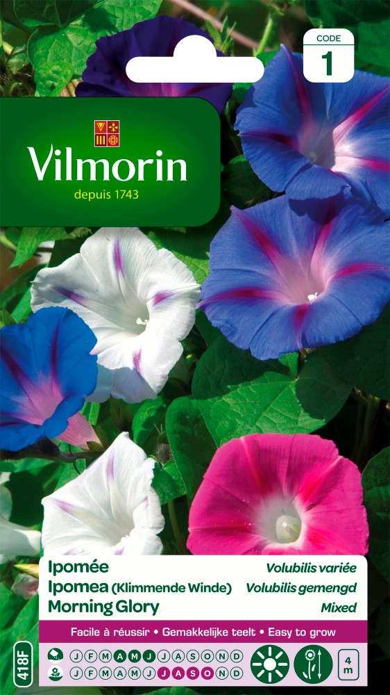Graines de fleurs ipomée volubilis variée VILMORIN