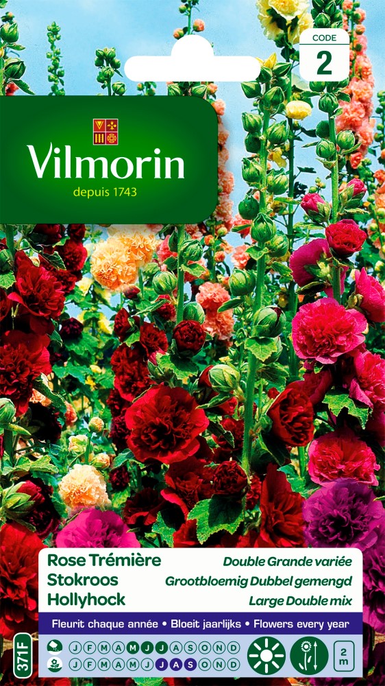 Graines de fleurs rose trémière double grande variée VILMORIN