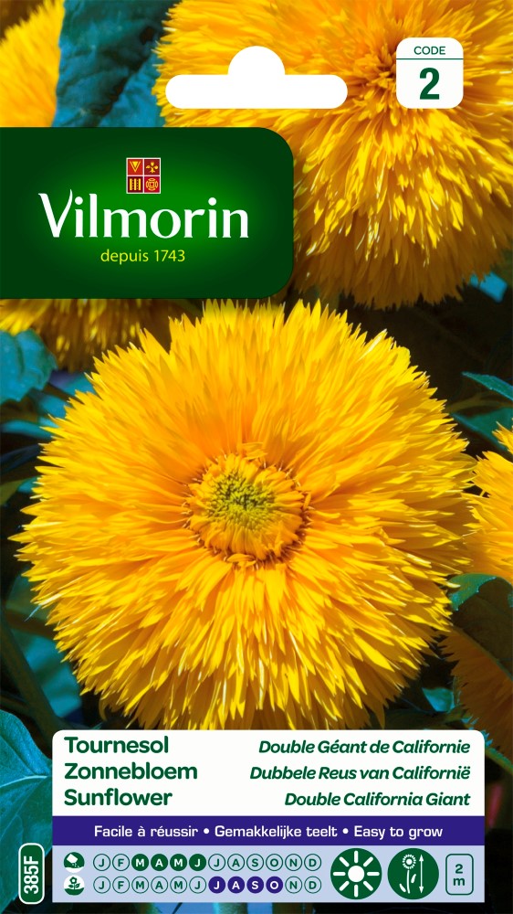 Graines de fleurs tournesol double géant de californie VILMORIN 