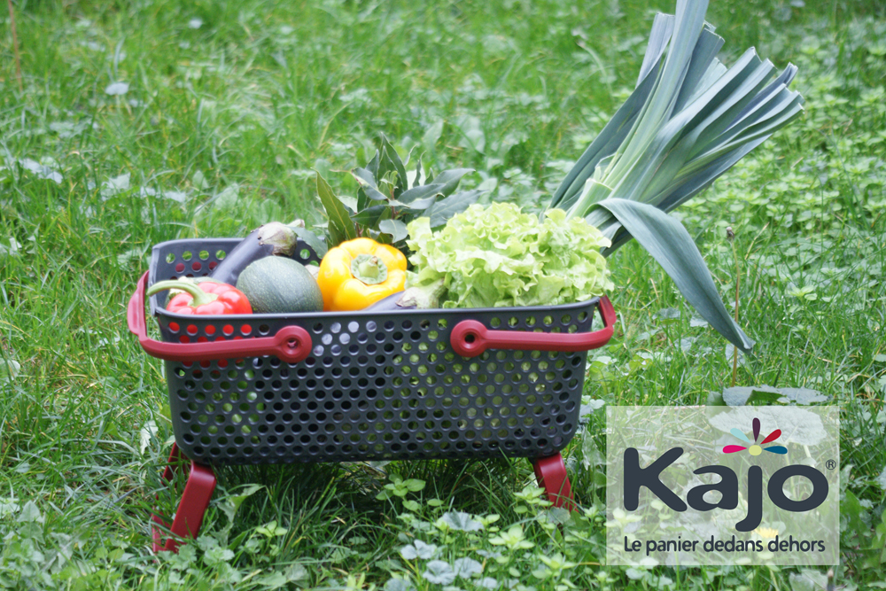 Panier pour la cueillette Kajo gris/cerise CALIPSO - 15L