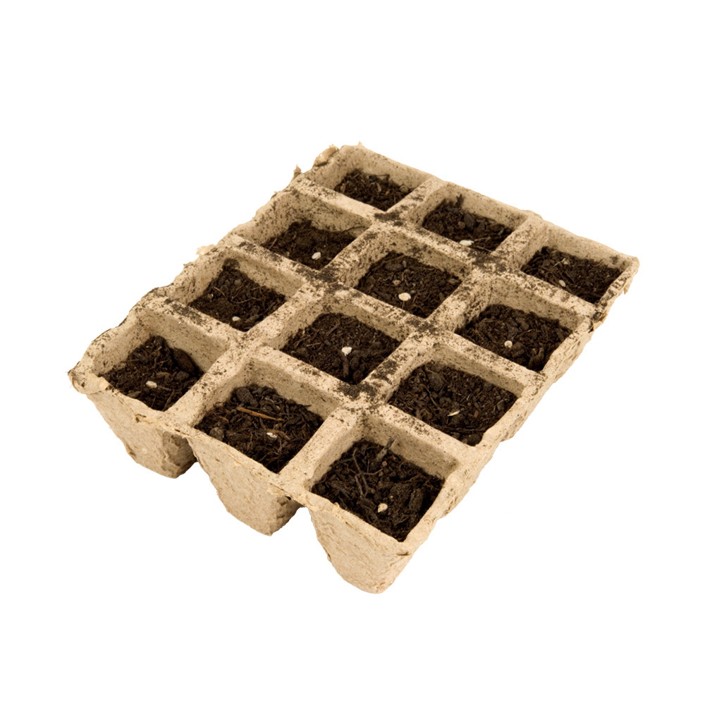 3 plaques de 12 pots biodégradables carrés VILLAVERDE - 4cmx5cm