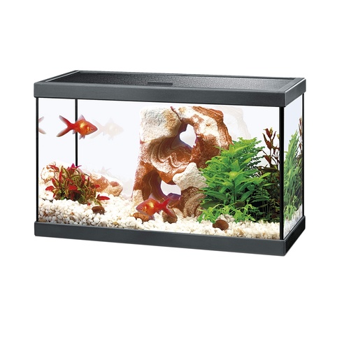 [44-0008KB] Aquarium 20 classic noir - 17L - 40 x 20 x 24,8 cm