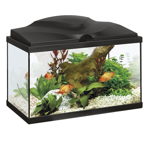 [44-0008KC] Aquarium 20 LED noir CIANO - Entretien facile - 17L - 40 x 20 x 24,8 cm