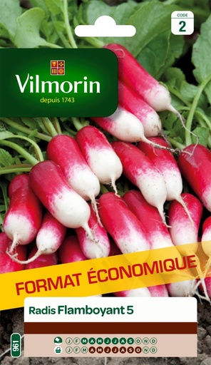 [48-002KGH] Graines de radis flamboyant 5 VILMORIN - Format éco