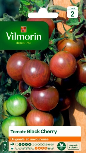 [48-002KH1] Graines de tomate black cherry VILMORIN