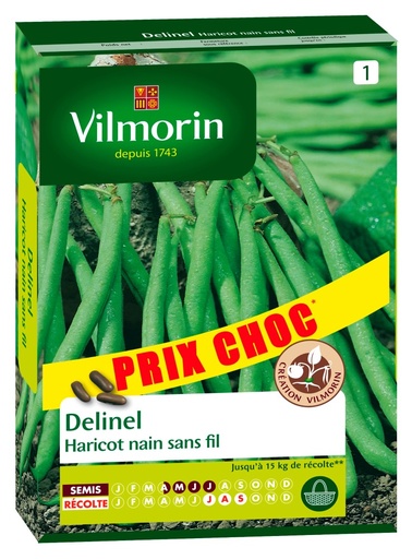 [48-002KI0] Graines d'haricot nain vert delinel VILMORIN