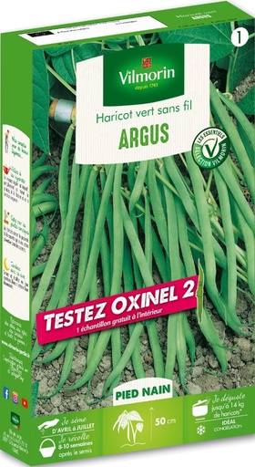 [48-003P78] Graines d'haricot nain vert argus + échantillon oxinel 2 VILMORIN