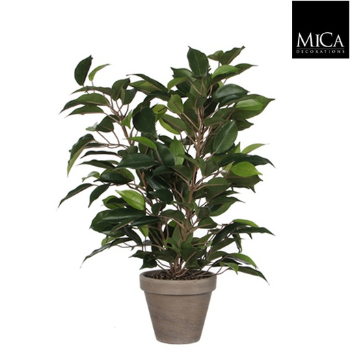 [1I-000NAG] Ficus natasja vert en pot stan gris - Plante artificielle MICA DÉCORATIONS