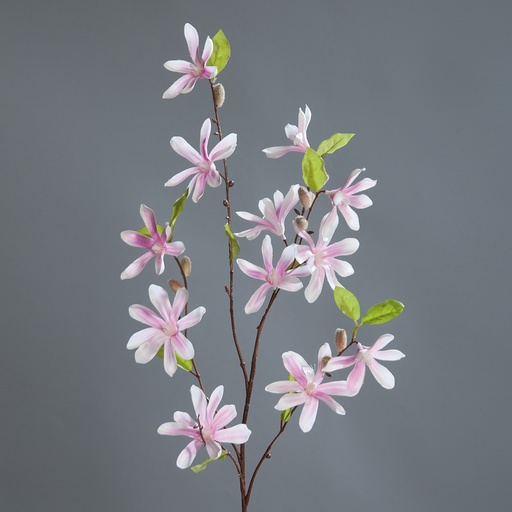 [1I-001J4U] Magnolia - Fleur artificielle DPI