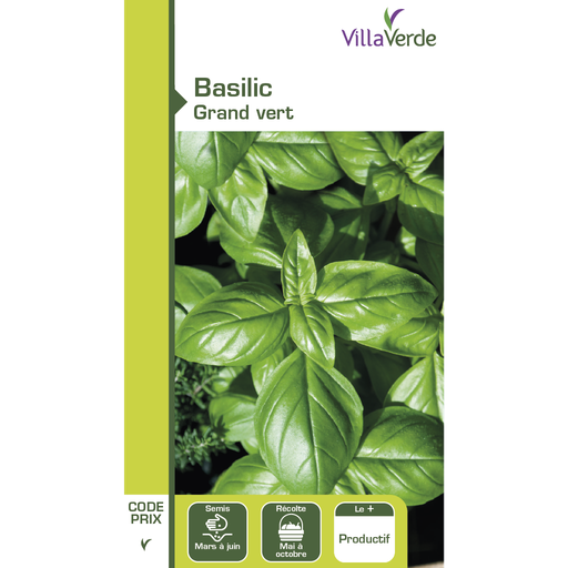 [48-001N5F] Basilic grand vert