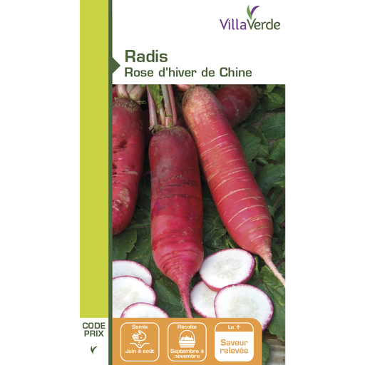 [48-001N9N] Graines de radis rose d'hiver de chine VILLAVERDE