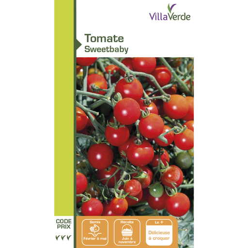 [48-001N9V] Graines de tomate cerise sweetbaby VILLAVERDE