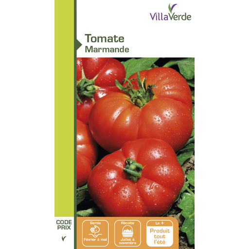 [48-001N9Y] Graines de tomate marmande VILLAVERDE