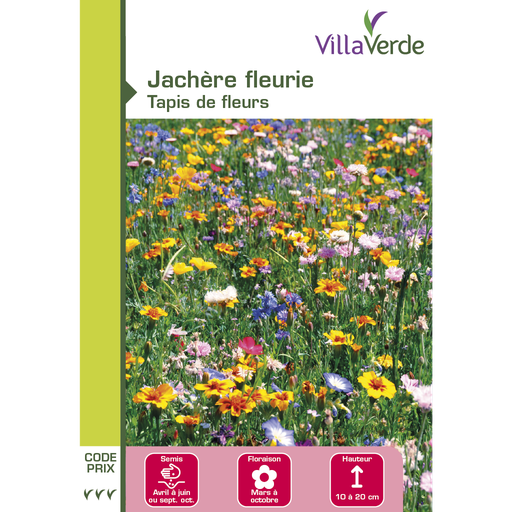 [48-001NAJ] Jachère fleurie alliance tapis de fleurs VILLAVERDE