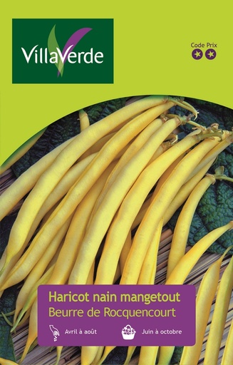 [48-001NAZ] Graines d'haricot nain mange tout beurre de rocquencourt VILLAVERDE