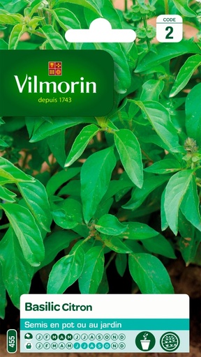 [48-001NB9] Graines de basilic citron VILMORIN