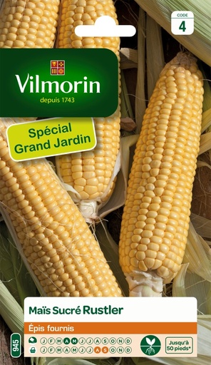 [48-001NG7] Graines de maïs sucré rustler hf1 VILMORIN