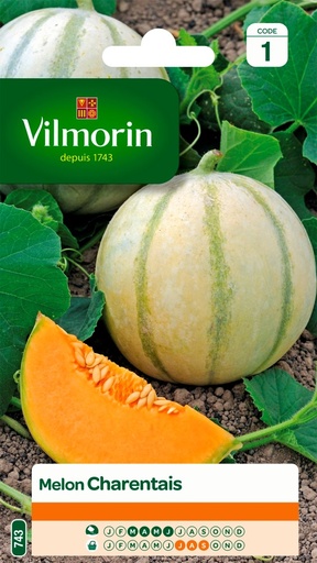 [48-001NGD] Graines de melon charentais VILMORIN