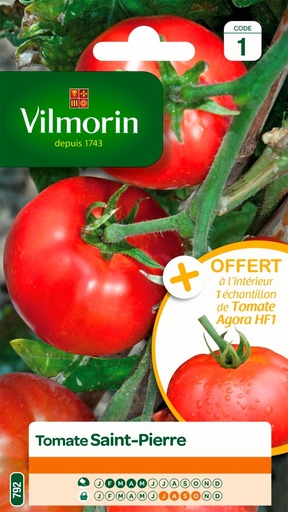 [48-001NJB] Graines de tomate saint-pierre + échantillon agora hf1 VILMORIN