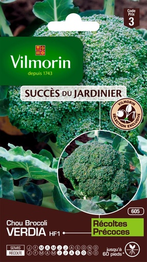 [48-001NJG] Graines de chou brocoli verdia hf1 VILMORIN
