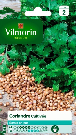 [48-001NJO] Graines de coriandre cultivée VILMORIN