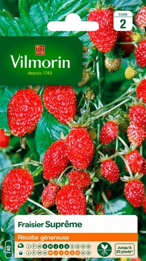 [48-001NJT] Graines de fraisier des 4 saisons VILMORIN