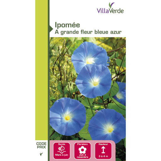 [3C-001OY2] Graines de fleurs ipomée à grande fleur bleue azur VILLAVERDE