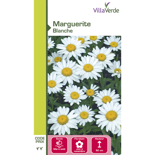 [3C-001OY8] Graines de fleurs marguerite blanche VILLAVERDE 