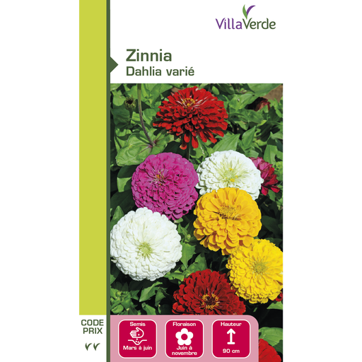[3C-001OZ1] Graines de fleurs zinnia dahlia varié VILLAVERDE