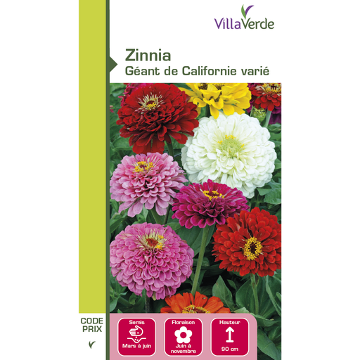 [3C-001OZ2] Graines de fleurs zinnia géant de californie varié VILLAVERDE