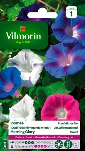 [3C-001P2M] Graines de fleurs ipomée volubilis variée VILMORIN