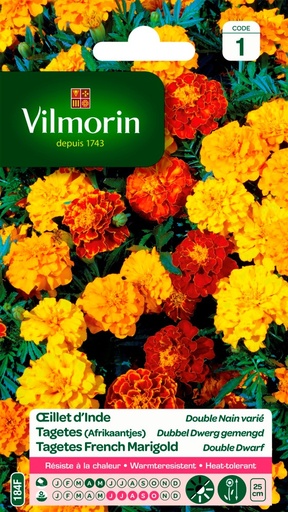 [3C-001P3J] Graines de fleurs oeillet d'inde double nain varié VILMORIN