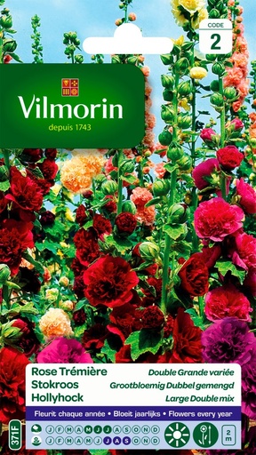 [3C-001P59] Graines de fleurs rose trémière double grande variée VILMORIN