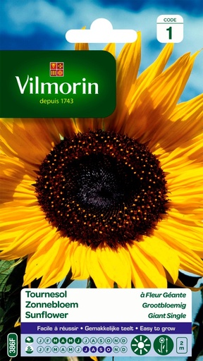 [3C-001P5R] Graines de fleurs tournesol à fleur géante VILMORIN