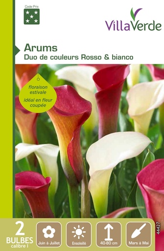 [3A-001PH3] Bulbes arums duo de couleurs rosso & bianco VILLAVERDE - 2 bulbes calibre 1