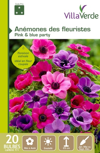 [3A-001PH4] Bulbes anémones des fleuristes pink & blue party VILLAVERDE - 20 bulbes calibre 7/+