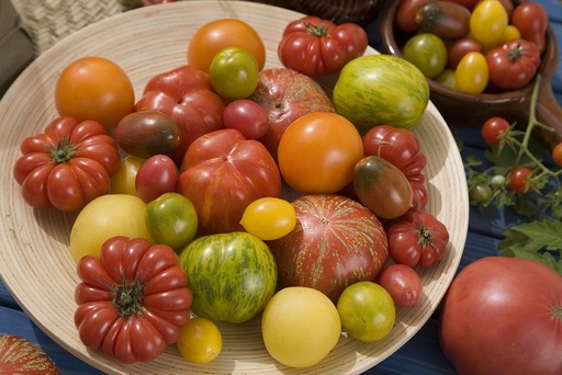[49-001ZVL] Plants de Tomate collection noir de crimée