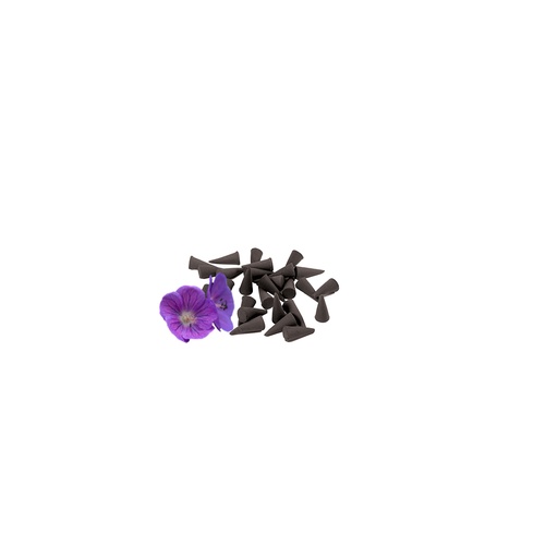 [25-001CS4] Cône violette GALEO