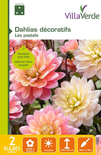 [3A-001PGY] Bulbes dahlias décoratifs les pastels VILLAVERDE - 2 bulbes calibre 1 